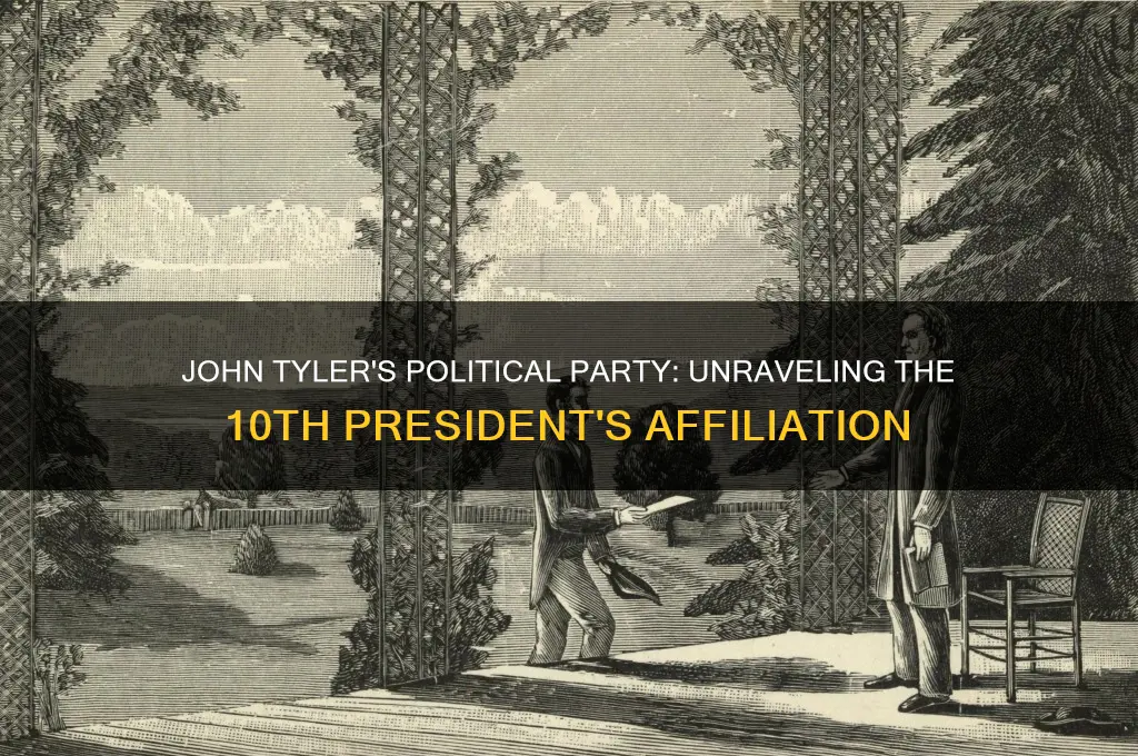 what was jphn tyler political party
