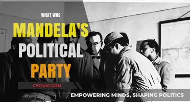 Nelson Mandela's Political Legacy: The African National Congress Explained