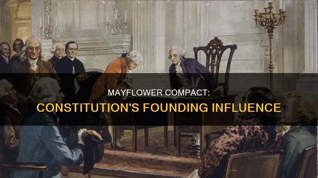 what was mayflower compact influence on the constitution