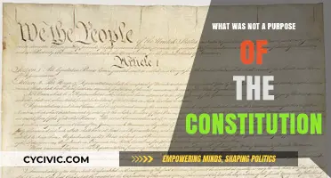 Understanding the Constitution: What Was Not Intended