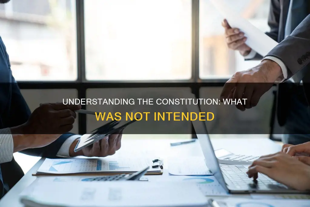 what was not a purpose of the constitution