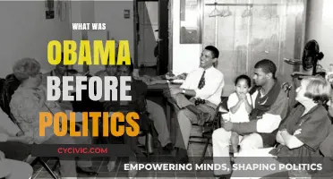 Obama's Pre-Politics Career: From Community Organizer to Lawyer