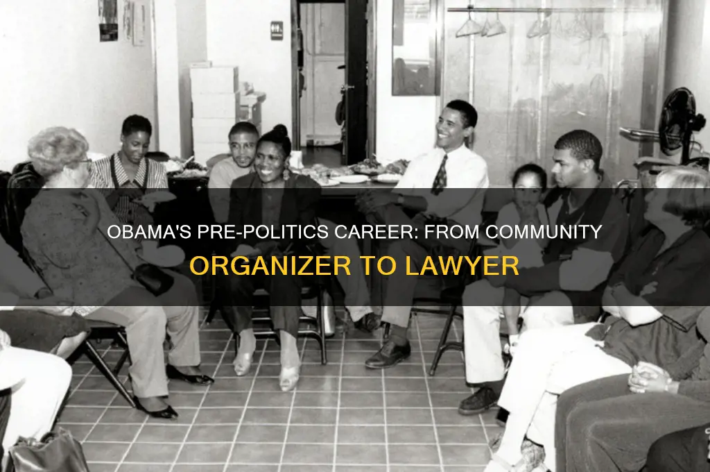 what was obama before politics