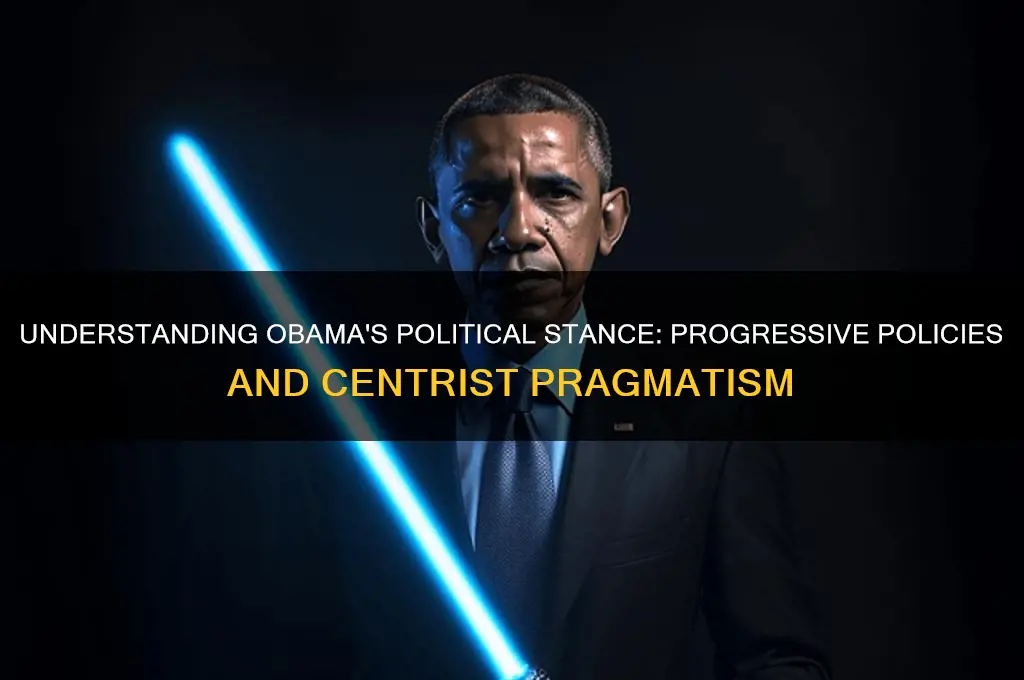 what was obamas political stance