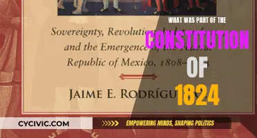 The 1824 Constitution: A Foundation for the Future