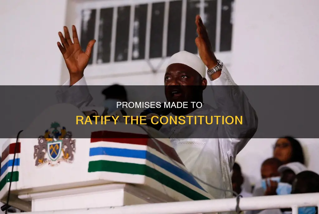 what was promised in order to pass the constitution