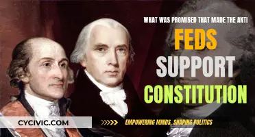 Constitution Promises: Anti-Feds' Support Explained