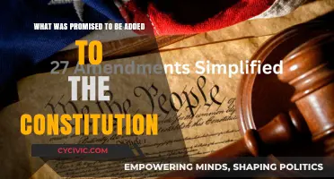 The Constitution: Promises and Amendments