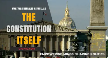 The Constitution's Repeal: What Else Was Lost?