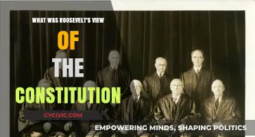 Roosevelt's Constitution: A Progressive Vision