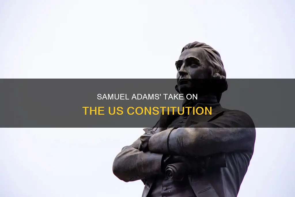 what was samuel adams view about the us constitution