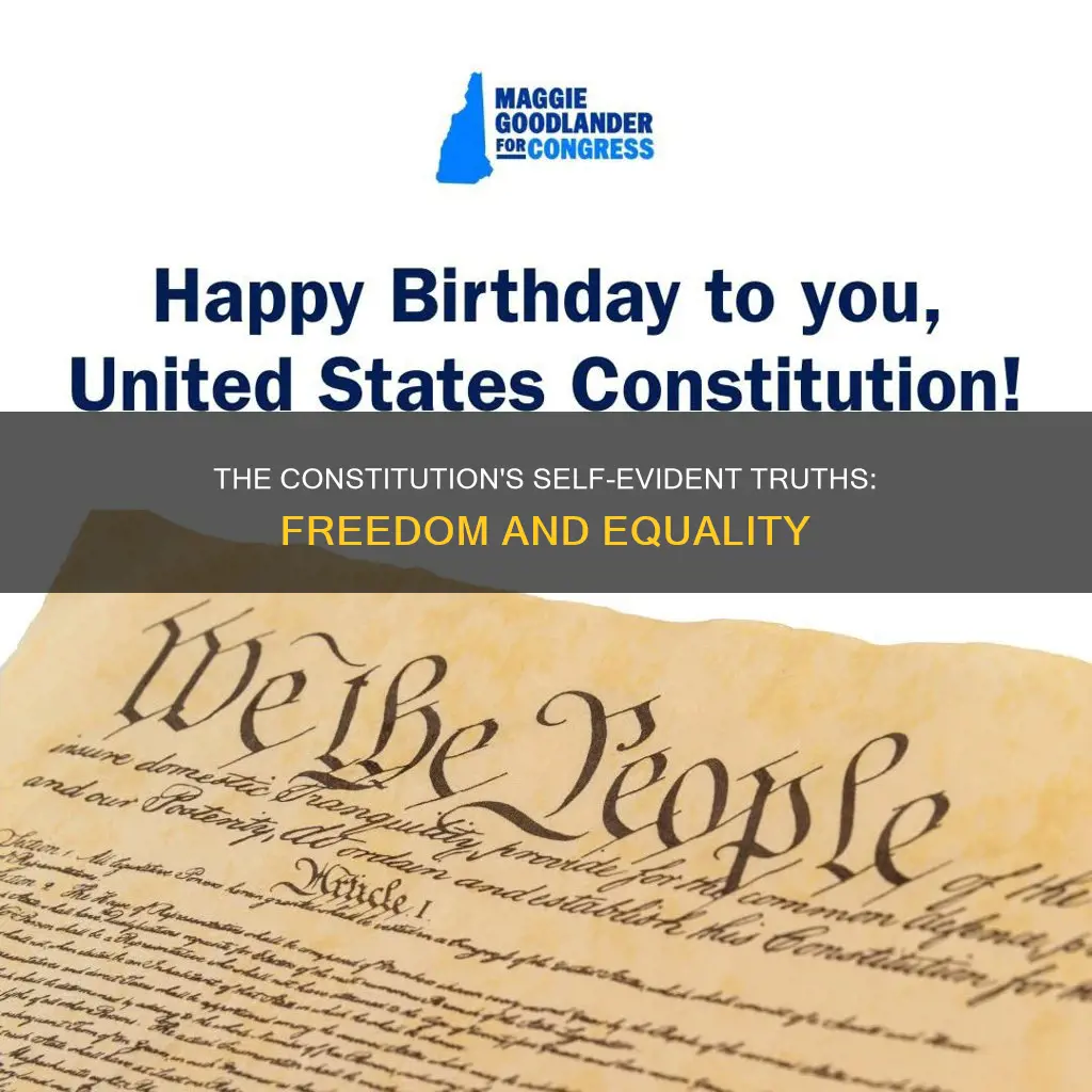 what was self-evident chosen in the constitution