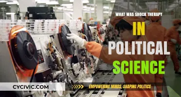 Understanding Shock Therapy: A Political Science Perspective