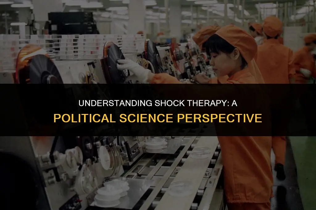 what was shock therapy in political science