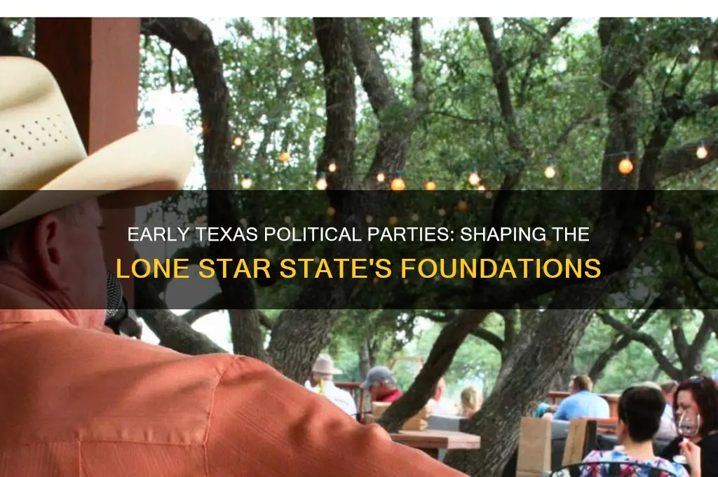 what was some early political parties in texas