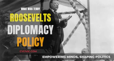 Teddy Roosevelt's Diplomacy: A Progressive Foreign Policy