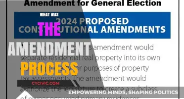 Amending the Constitution: A Complex Process