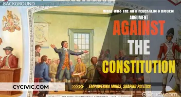 Anti-Federalists' Biggest Concern: Unchecked Power and Tyranny