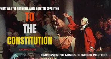 Anti-Federalists' Core Objection to the Constitution Explained