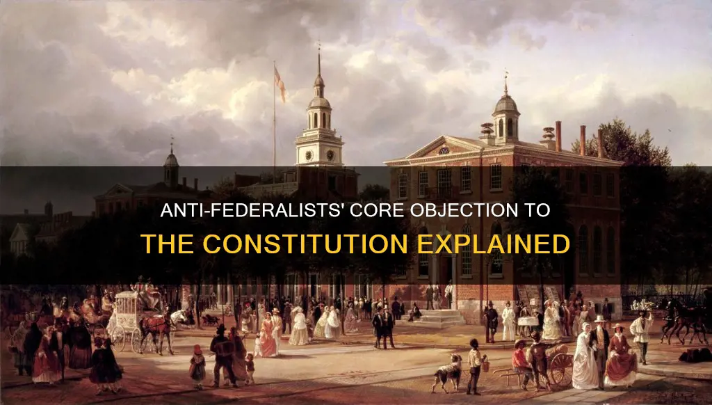 what was the anti federalists greatest opposition to the constitution