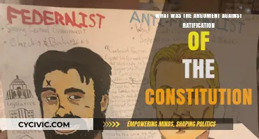 Why Anti-Federalists Opposed the Constitution