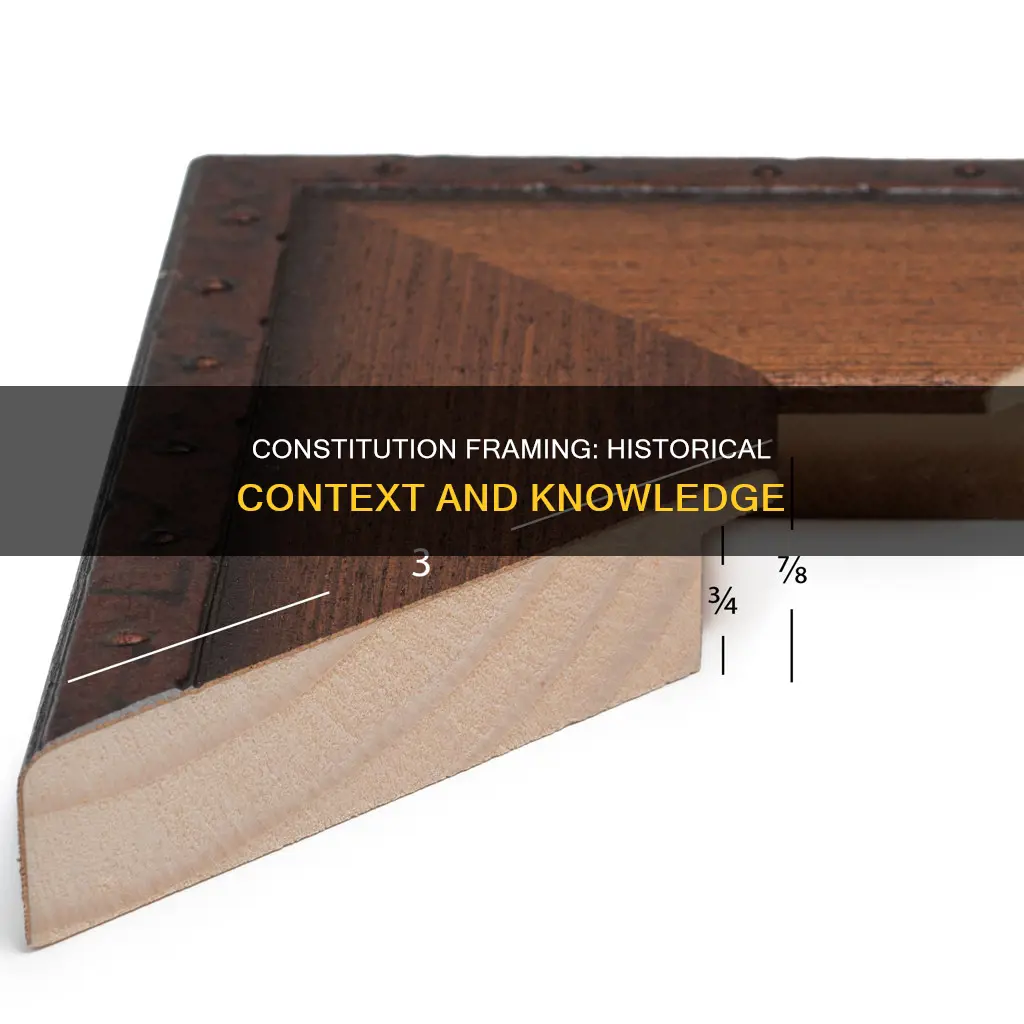 what was the background knowledge of framing the constitution