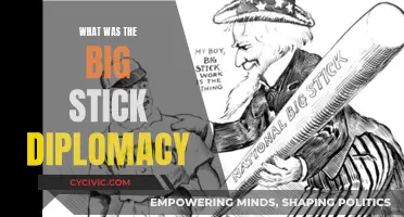 The Big Stick Diplomacy: Theodore Roosevelt's Foreign Policy Legacy