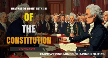 Founding Flaws: The Constitution's Biggest Criticism
