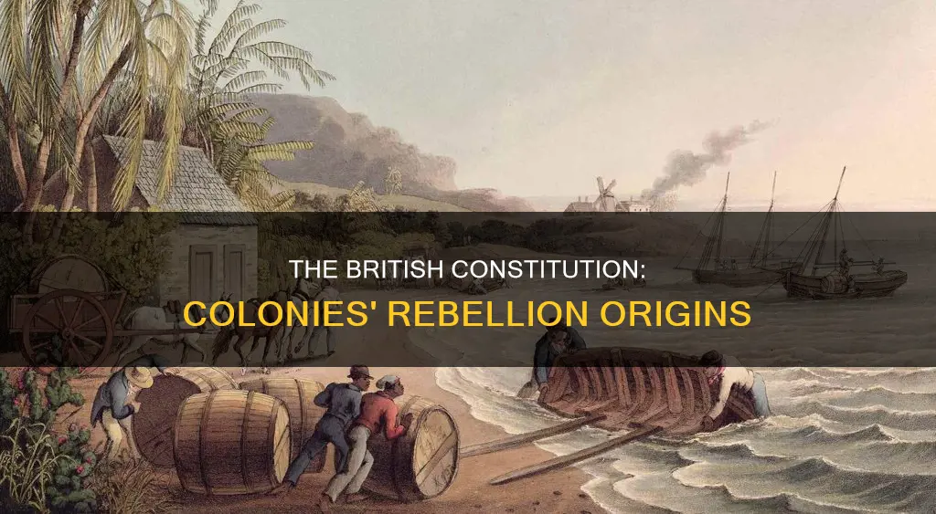 what was the british constitution which the colonies rebelled against