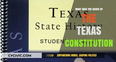 Texas Constitution: What Shaped the Lone Star State's Laws?