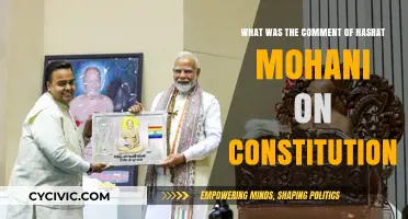 Mohani's Critique: A Constitutional Commentary