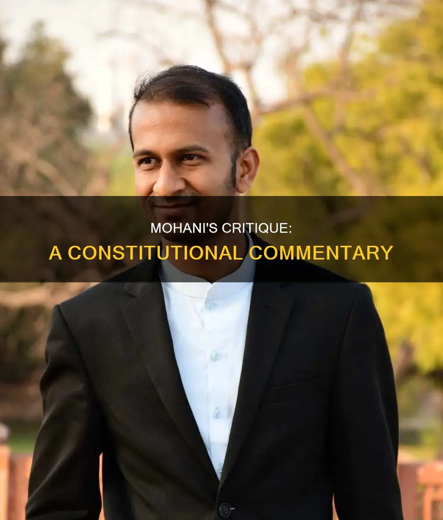 what was the comment of hasrat mohani on constitution