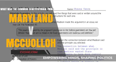 The Maryland Case: Constitutional Principles and Commerce