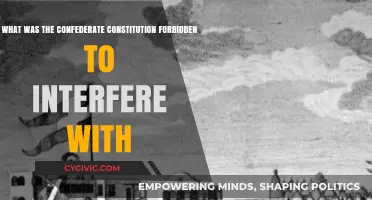 Southern States' Rights: Confederate Constitution's Main Focus