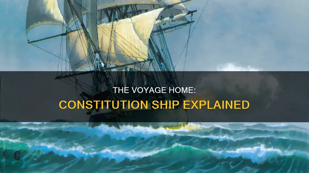 what was the constitution ship in the voyage home