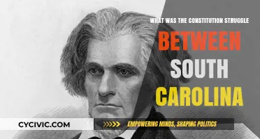 South Carolina's Constitutional Conflict