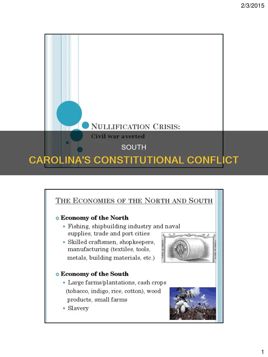 what was the constitution struggle between south carolina