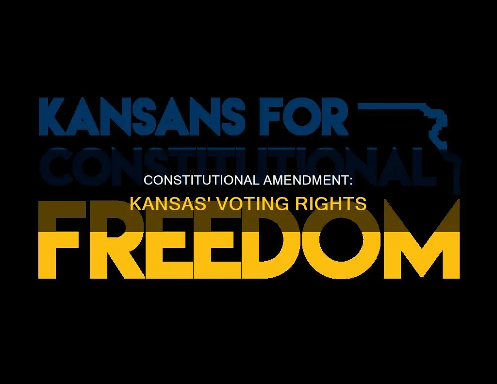 what was the constitutional amendment in ks for