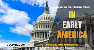 America's Early Constitutional Council Explained