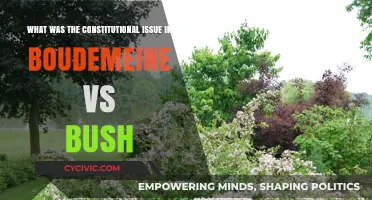 Bush vs. Boudemaine: Constitutional Clash