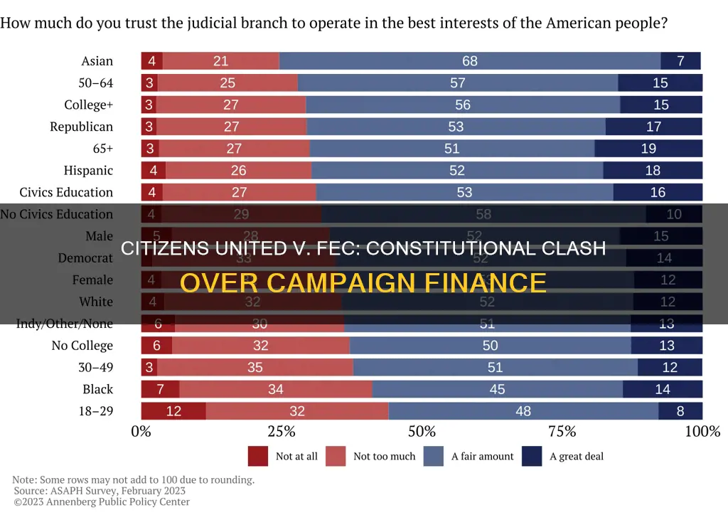what was the constitutional issue in citizens united v fec