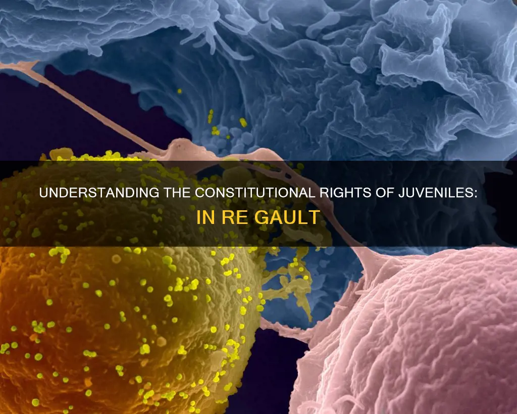 what was the constitutional issue in in re gault