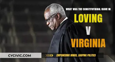 The Loving Case: Constitutional Challenge to Anti-Miscegenation Laws