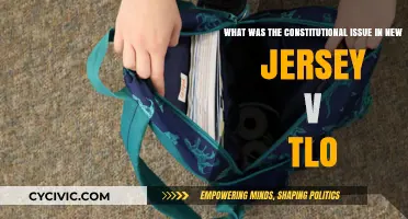 The Fourth Amendment and Students' Rights