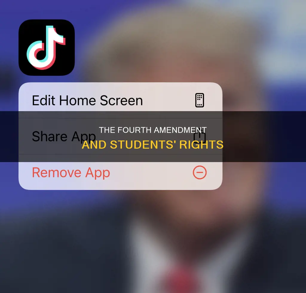 what was the constitutional issue in new jersey v tlo