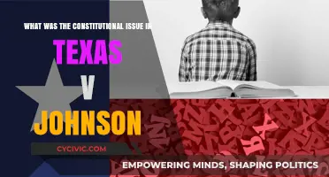 Texas v Johnson: Free Speech and Flag Burning