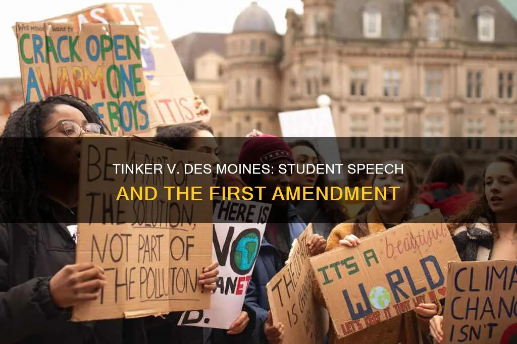 what was the constitutional issue in tinker v des moines