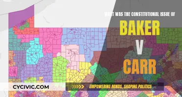 The Baker v. Carr Constitutional Conundrum