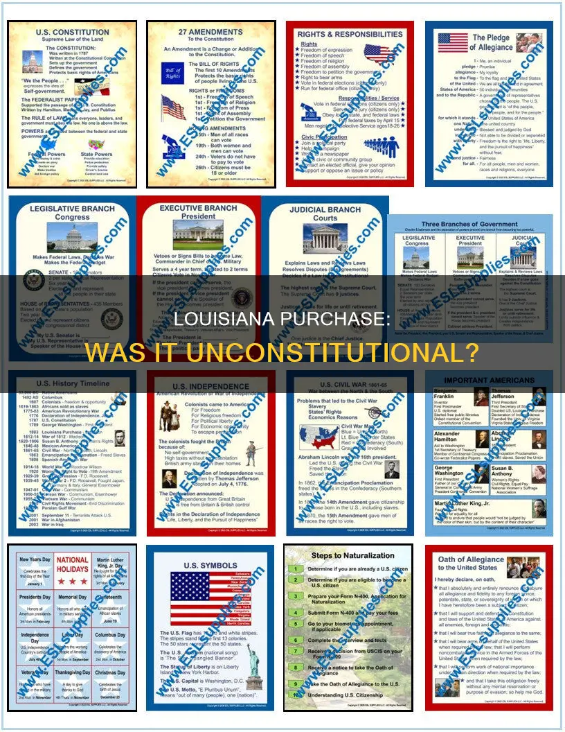 what was the constitutional issue with the louisiana purchase
