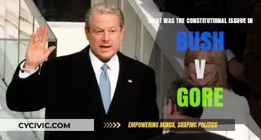 The Bush-Gore Florida Fiasco: A Constitutional Crisis